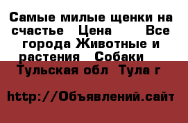 Самые милые щенки на счастье › Цена ­ 1 - Все города Животные и растения » Собаки   . Тульская обл.,Тула г.